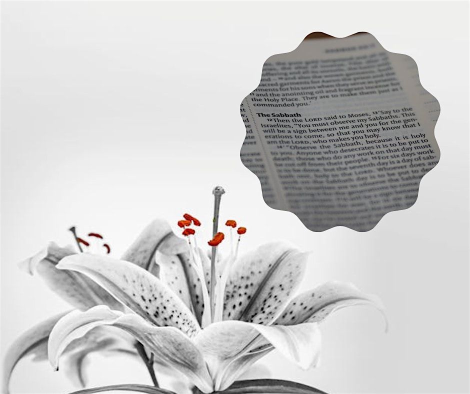 Sabbath Bible Study - Study the Living Word of God