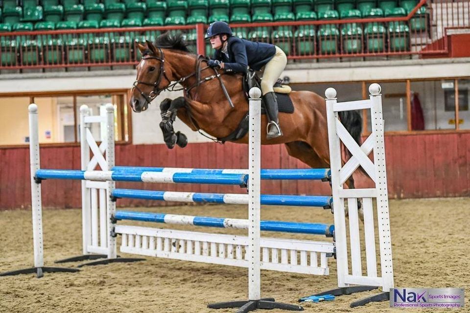 British Show Jumping Cat 2 PRE ENTRIES ONLY