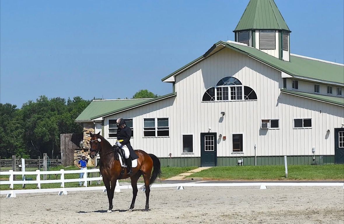 Dressage at Saddlebrook