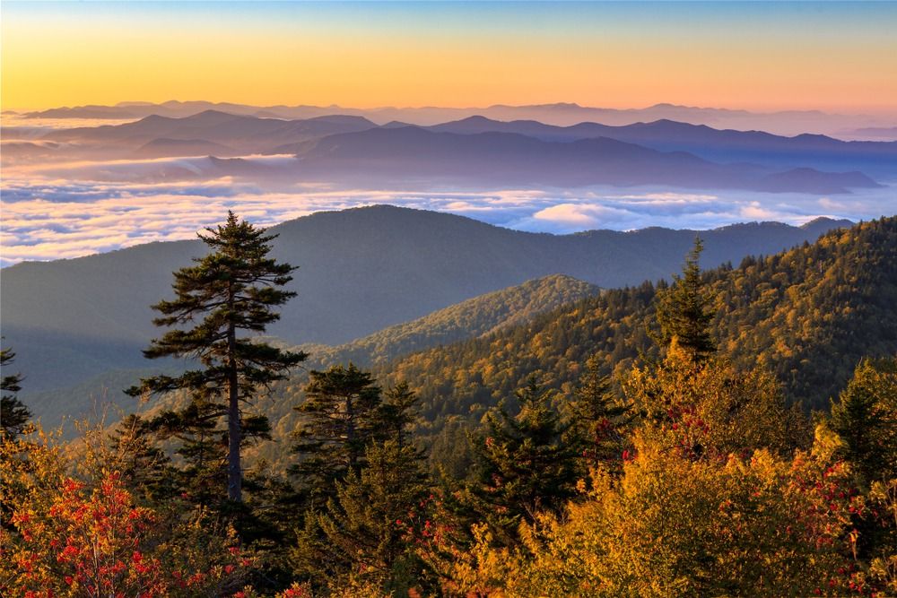 \ud83c\udf89 A Weekend Getaway in Gatlinburg $99 \ud83c\udf89