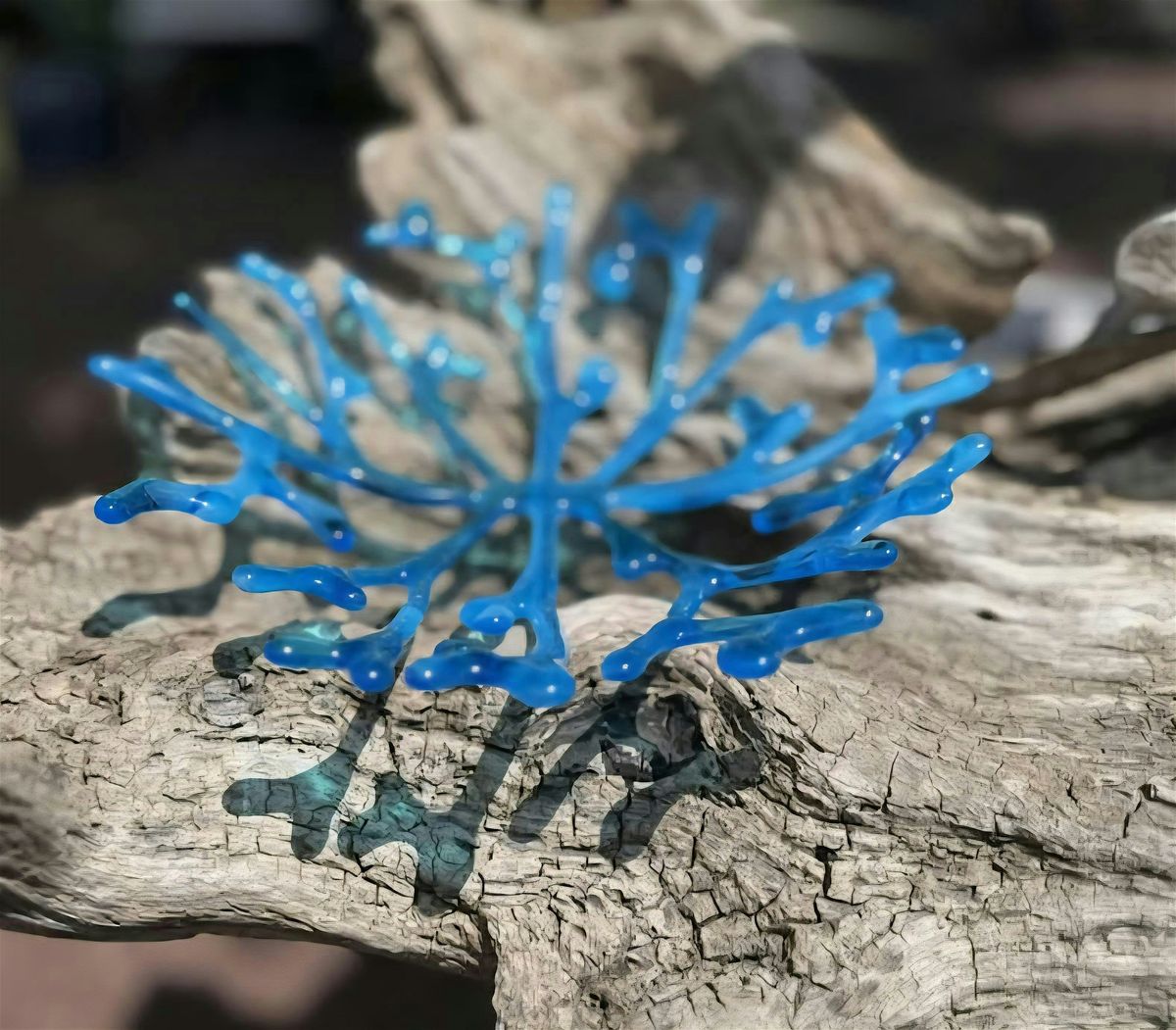 Coral Bowl Fused Glass Class