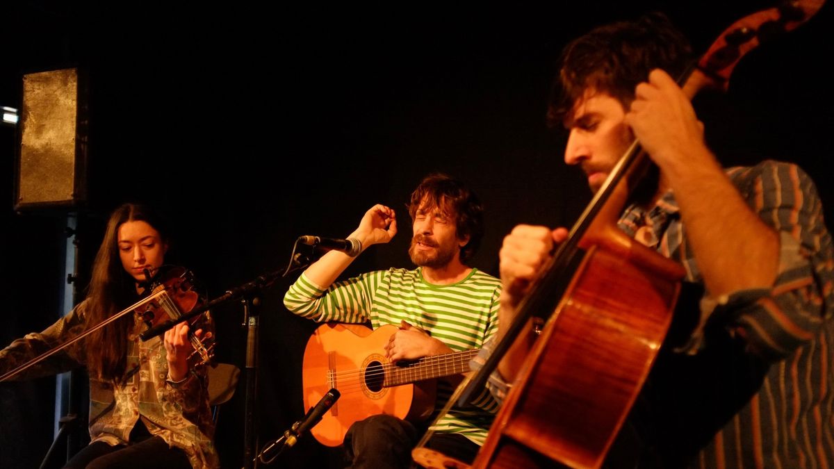 Concert: Ell Sol (folk)