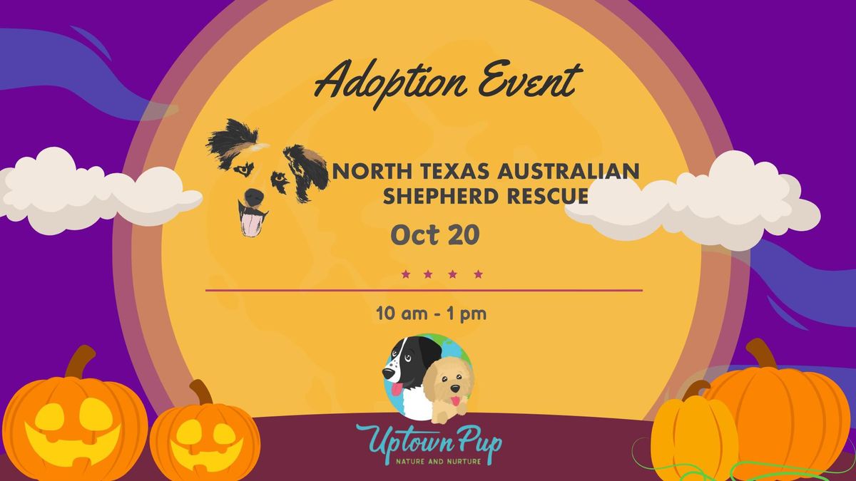 Aussie Adventure & Adoption Day