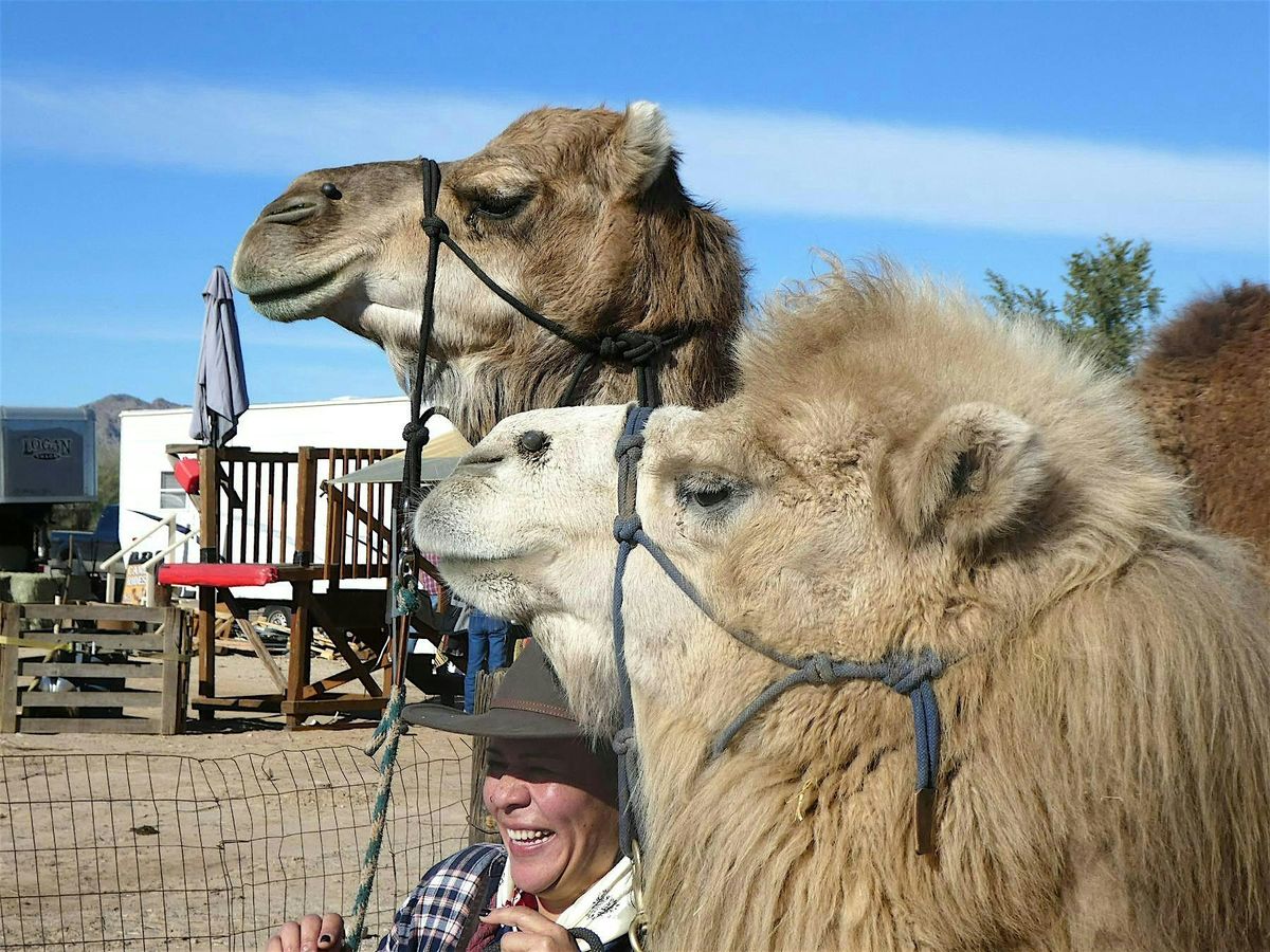 Hi Jolly Parade & Camelpalooza (Jan 10&11, 2026)