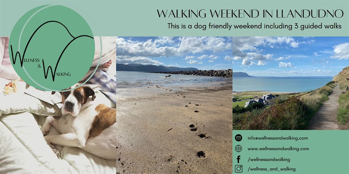 Dog Friendly Walking Weekend in Llandudno