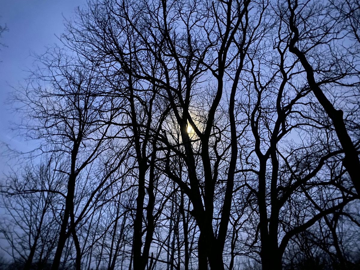 All Forward CONNECTIONS:  Night Hike. Gathering @ Peninsula Coffee House