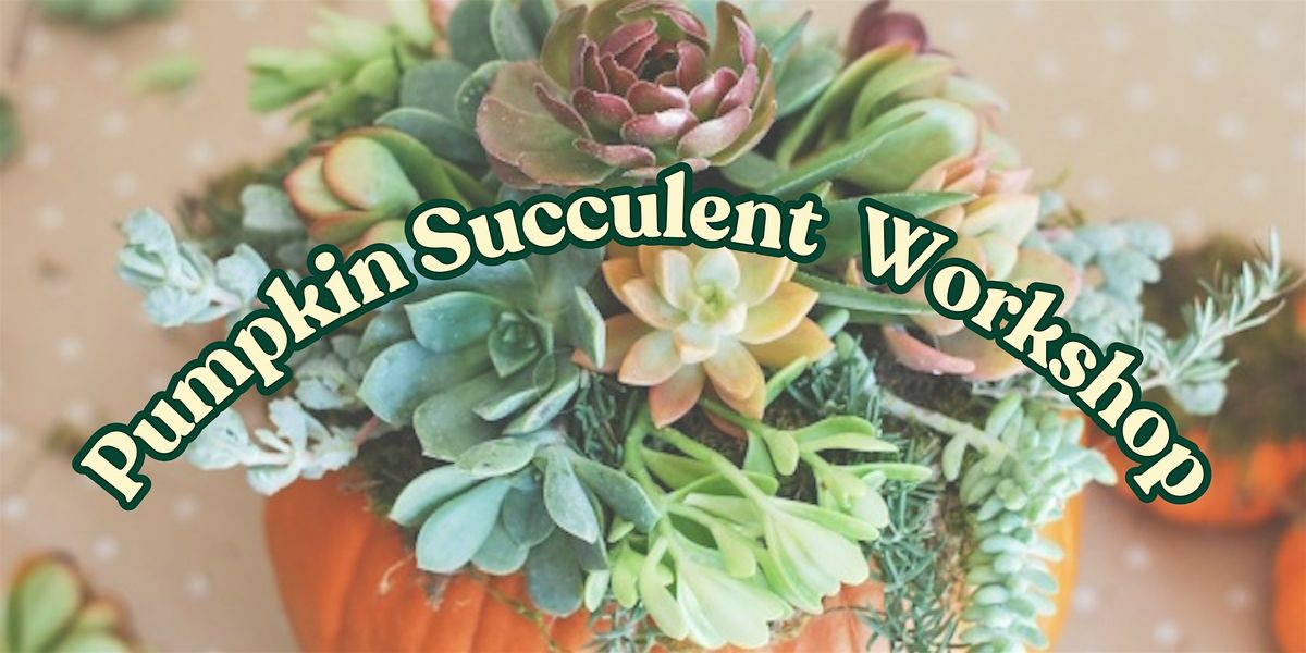 Pumpkin Succulent Arrangement Workshop