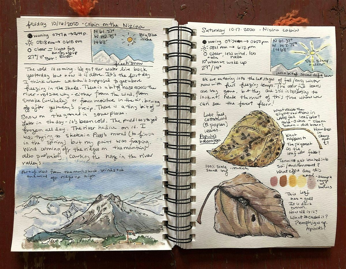 Mindful Nature Journaling: Discovering Yourself Through Nature\u2019s Wisdom