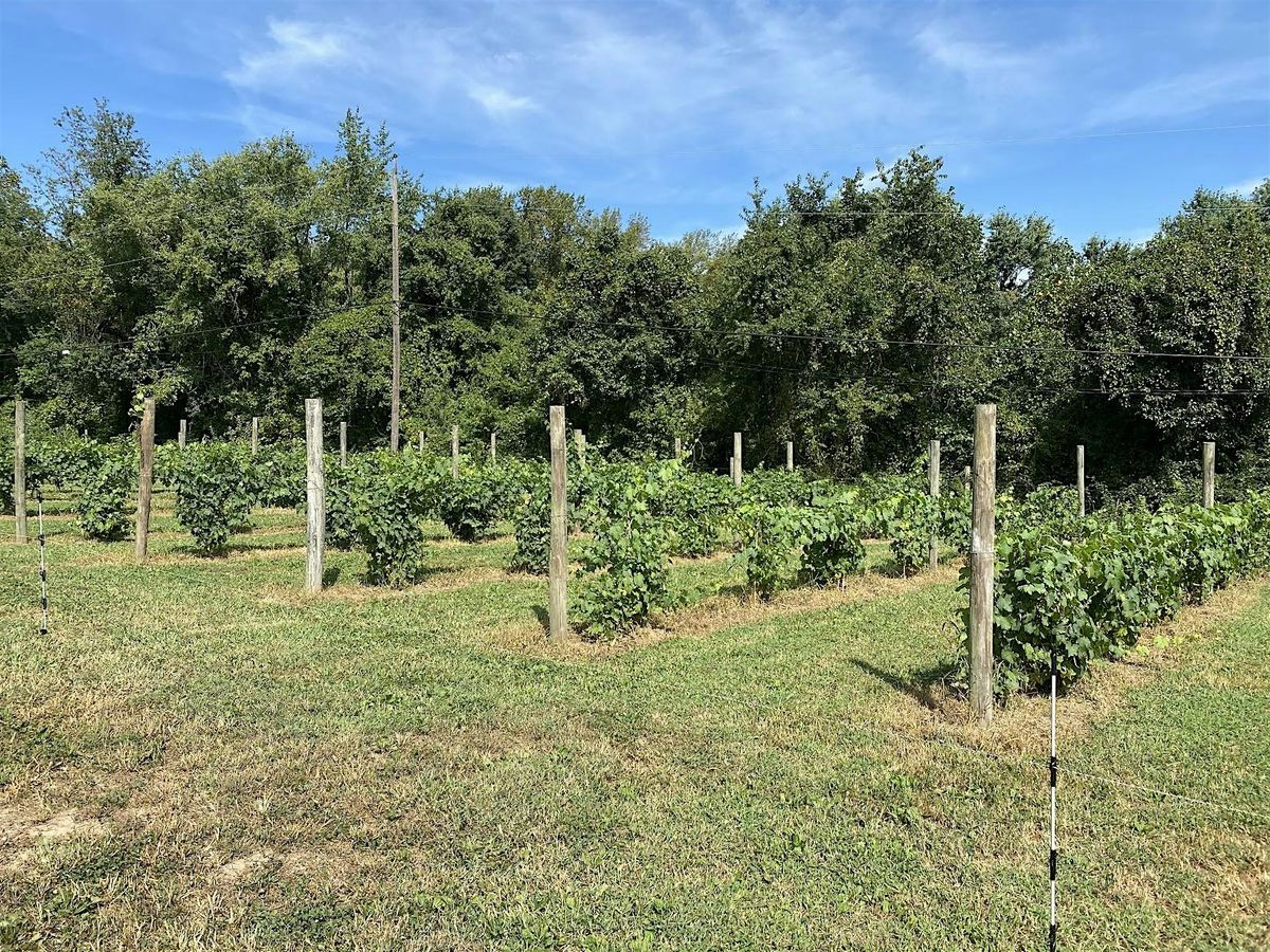 Urban Farming Vegetable and Fruit Production & IPM Workshop