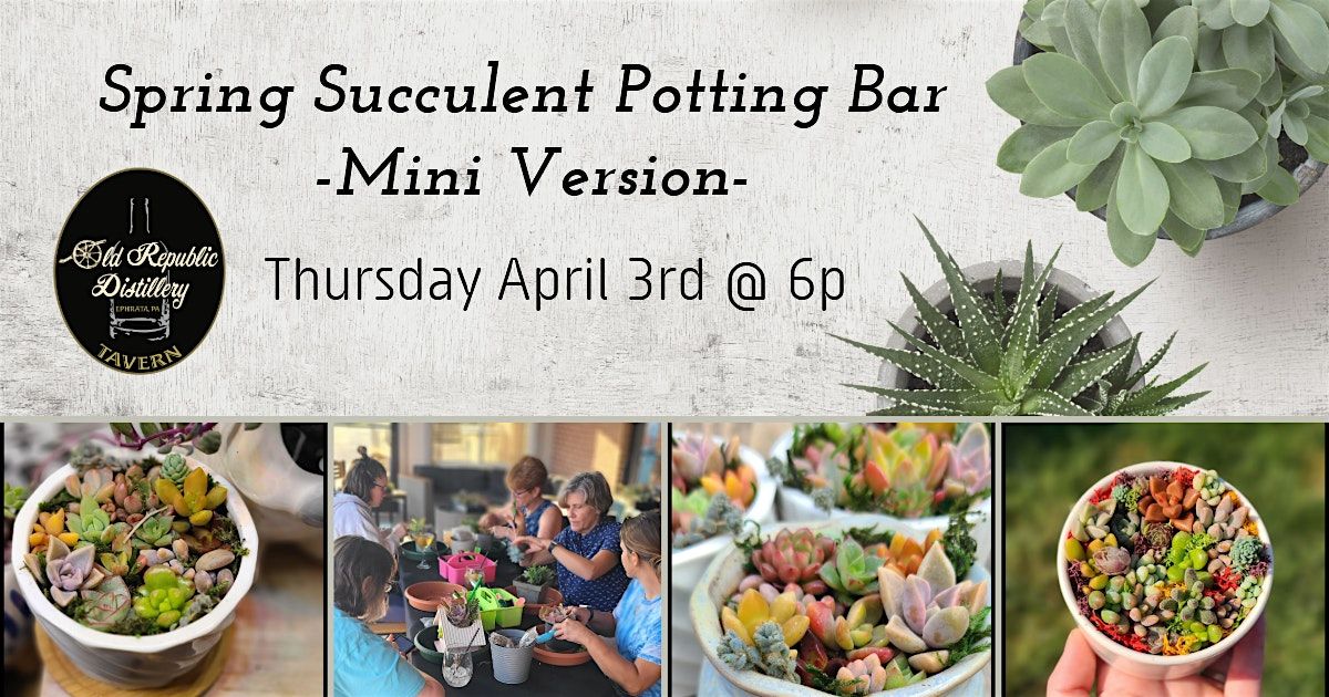 Spring Succulent Potting Bar-Mini Version