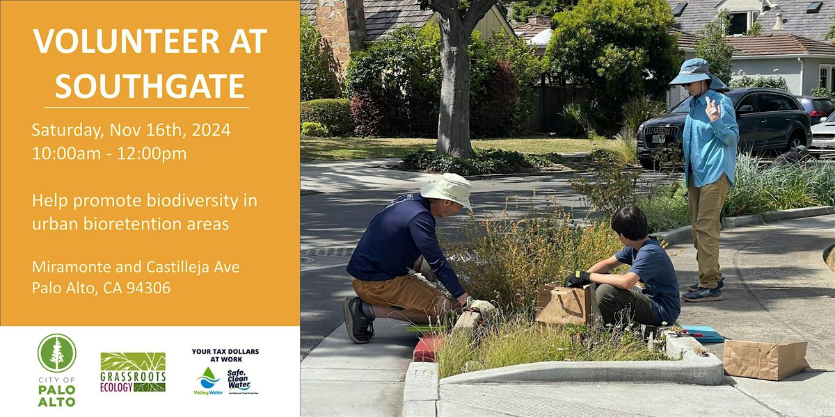 Volunteer Outdoors in Palo Alto: Bioretention Area Maintenance at Southgate