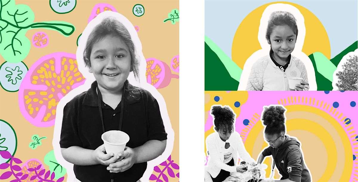 Young SEEDs in the Park - New Summer Location