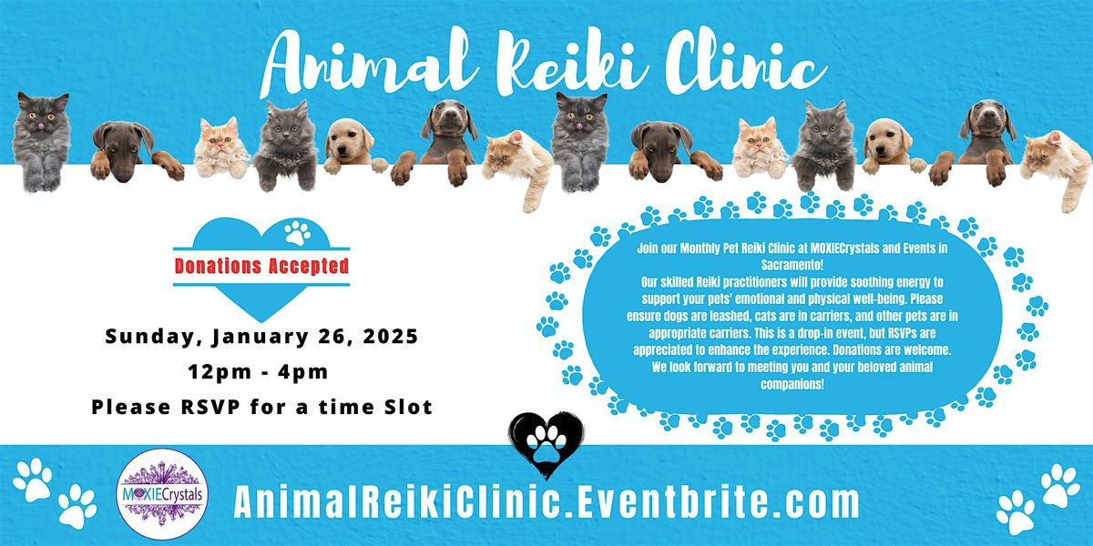 Animal Reiki Clinic