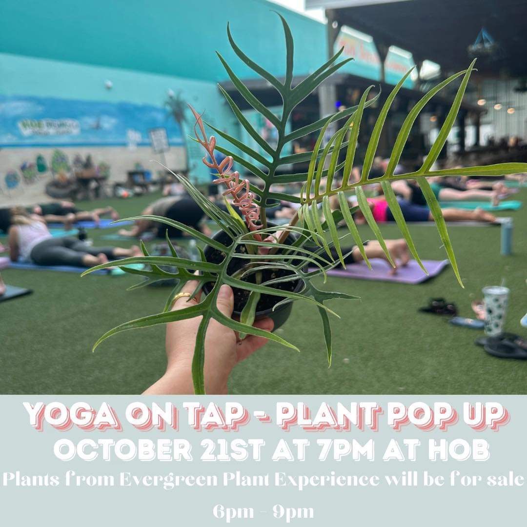 Yoga on Tap-Plant Pop up!