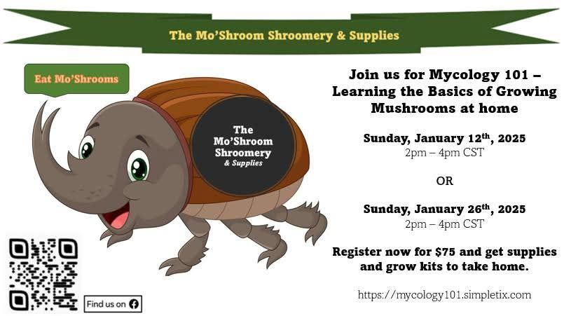 Mycology 101 - Intro to Mushroom Growing Basics