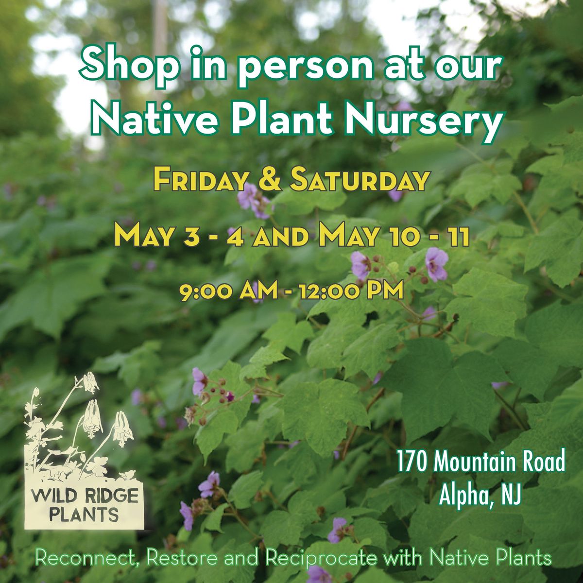 Open Hours at Wild Ridge Plants - Native Plant Nursery