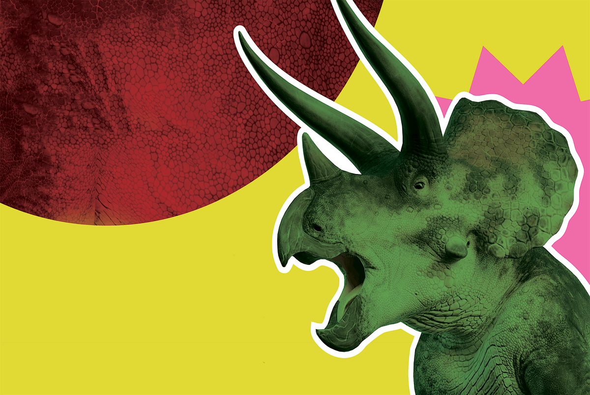 Triceratops Uncovered
