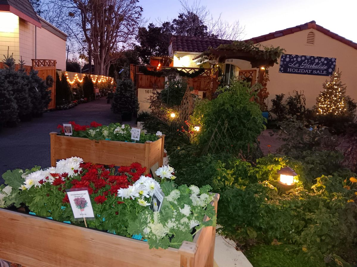 Christmas Winter Wonderland