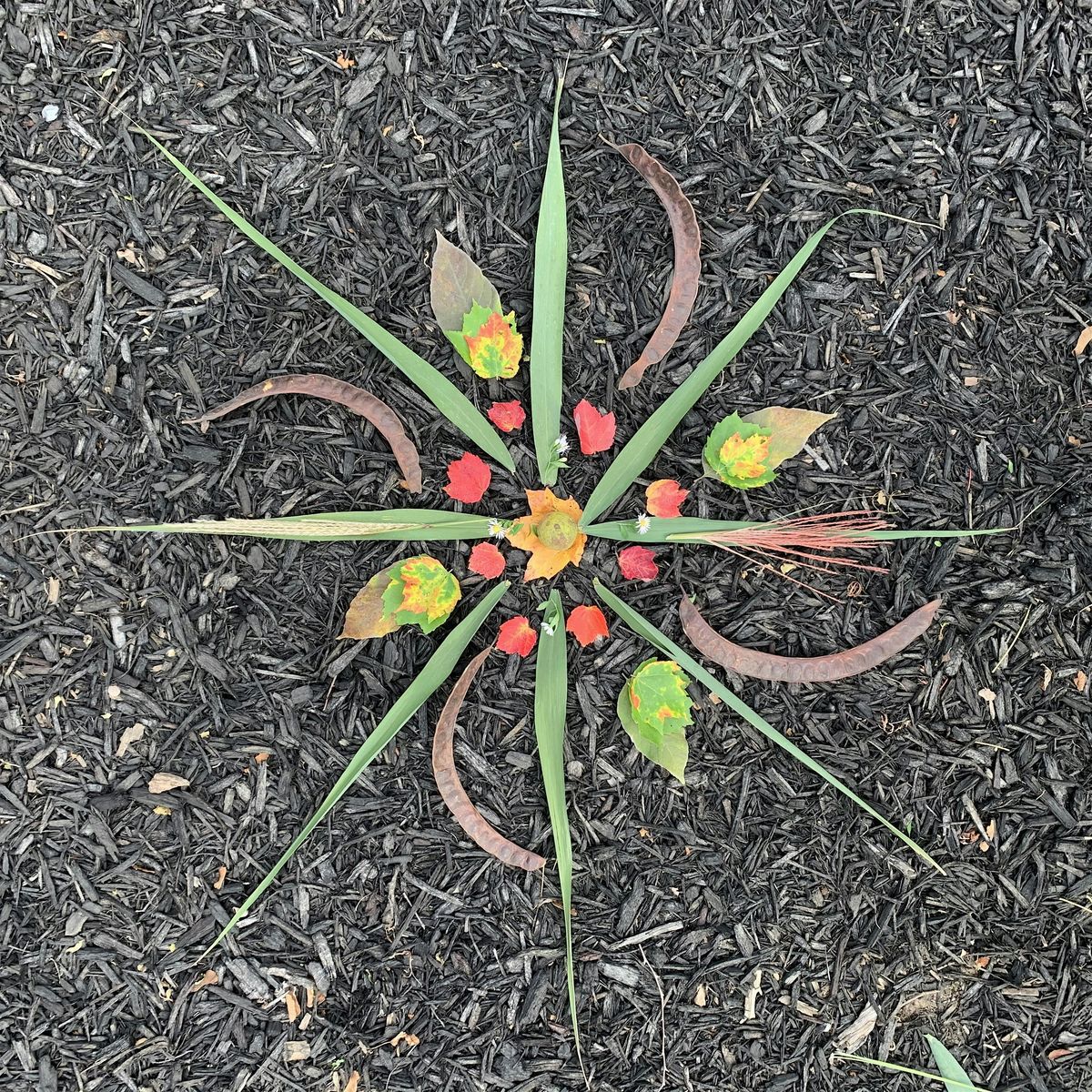 Trees & Treasure: Forest Bathing and Ephemeral Earth Art