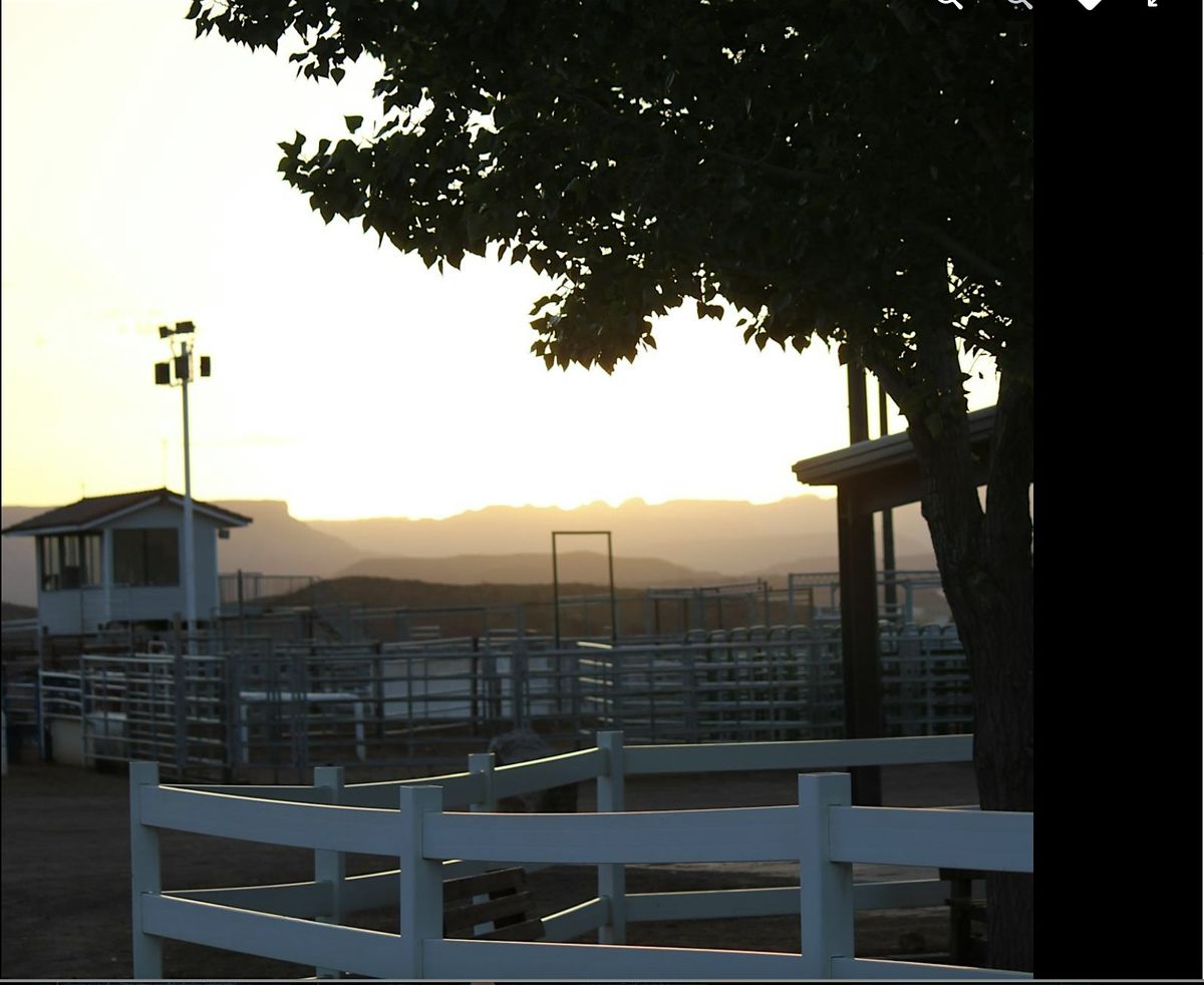 Dixie Jr Livestock Show 2026