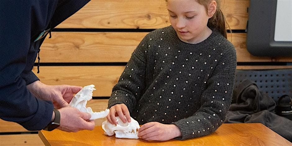 Animal Adaptations science activities for 6 - 11 year olds
