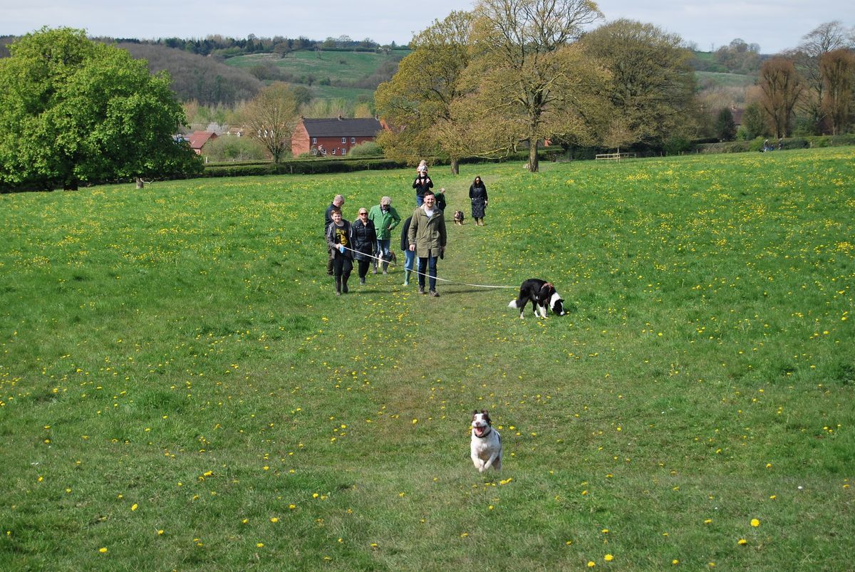 Monthly Charity Dog Walk