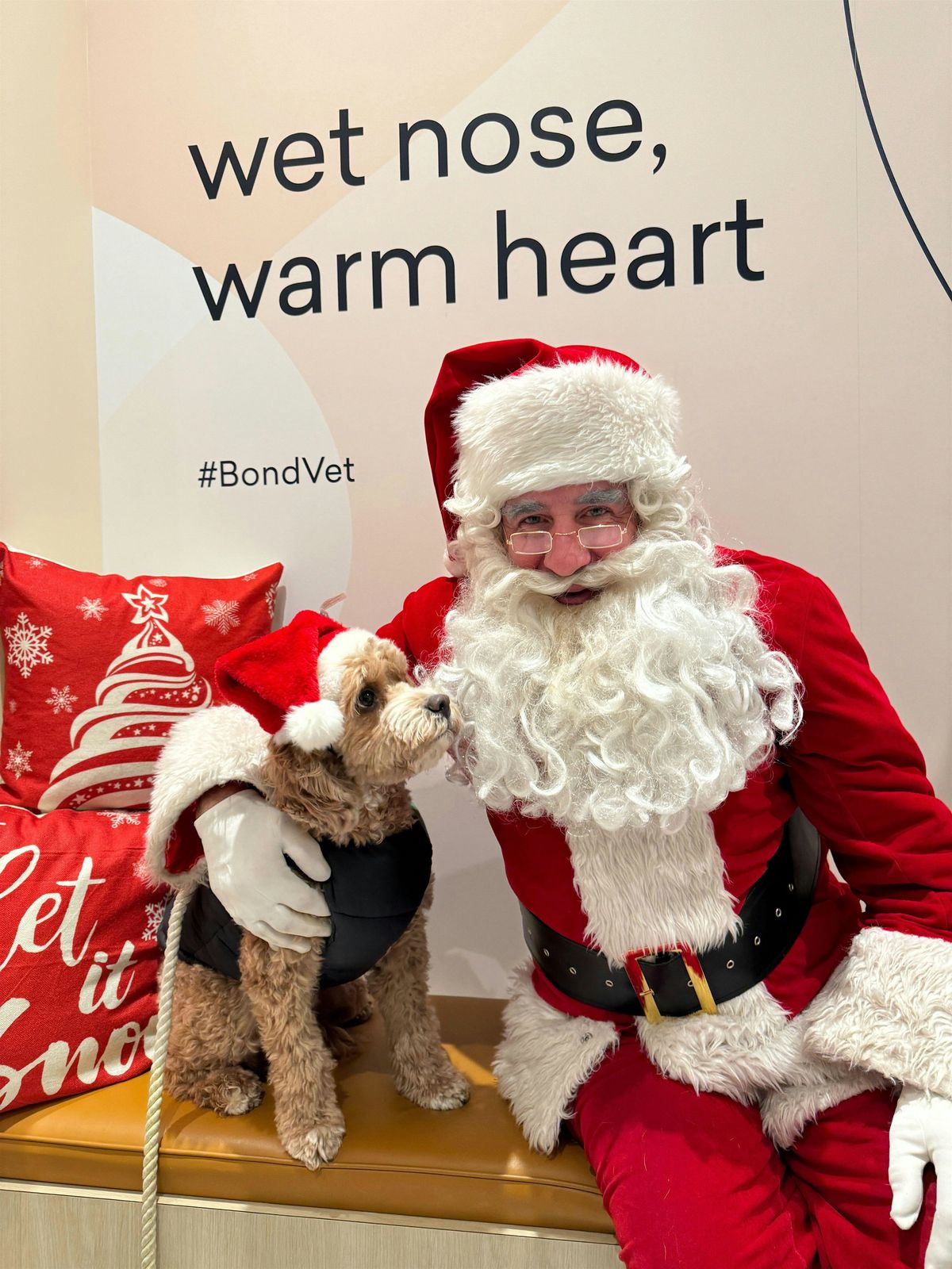 Free pet photos with Santa Paws - Bond Vet Jersey City