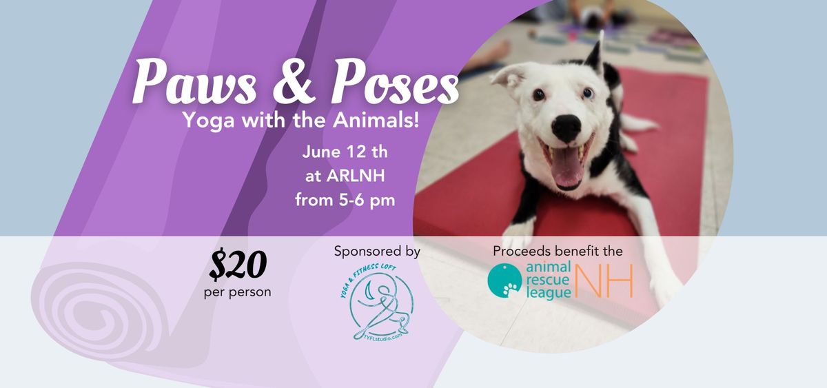 Paws and Poses Yoga with the Animals at the Animal Rescue League of New ...