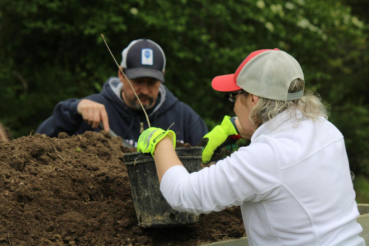 Seedling Potting Event