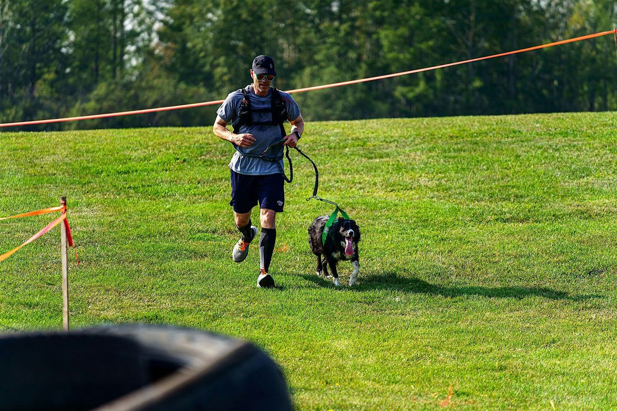 Zulu K9 Challenge Saskatoon 2025