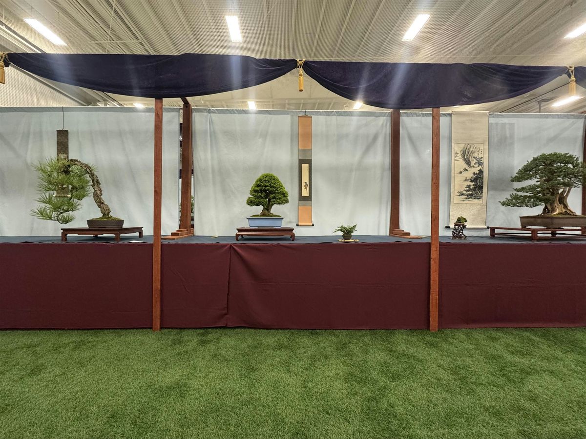 Fundamentos B\u00e1sicos del Bonsai