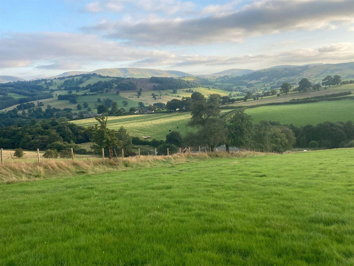 Penpont Project Community Action Day - Winter Tree Planting