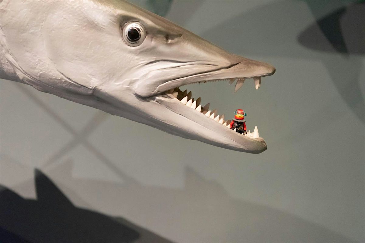 Search | LEGO\u00ae Minifigures Let Loose at MAGNT!