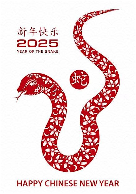 Thames Valley Chinese New Year 2025 Qi Gong, Tai Chi & Kung Fu Gathering