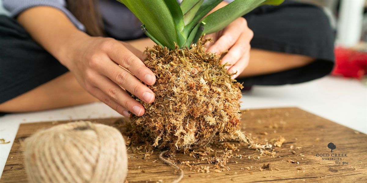 Kokedama Workshop