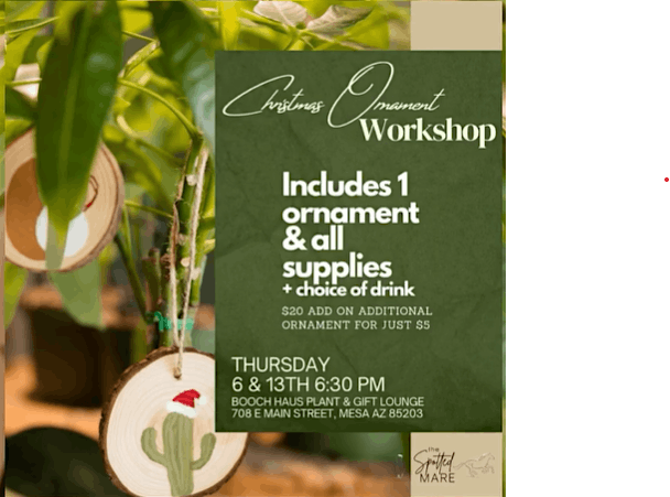 Christmas Ornament Workshop