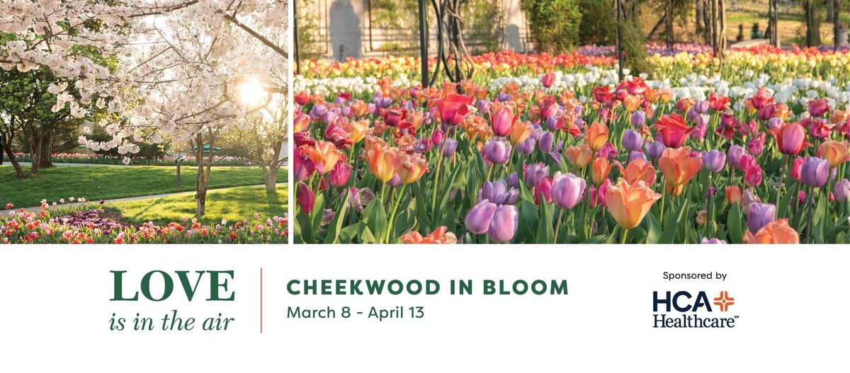 Cheekwood in Bloom: LOVE is in the air