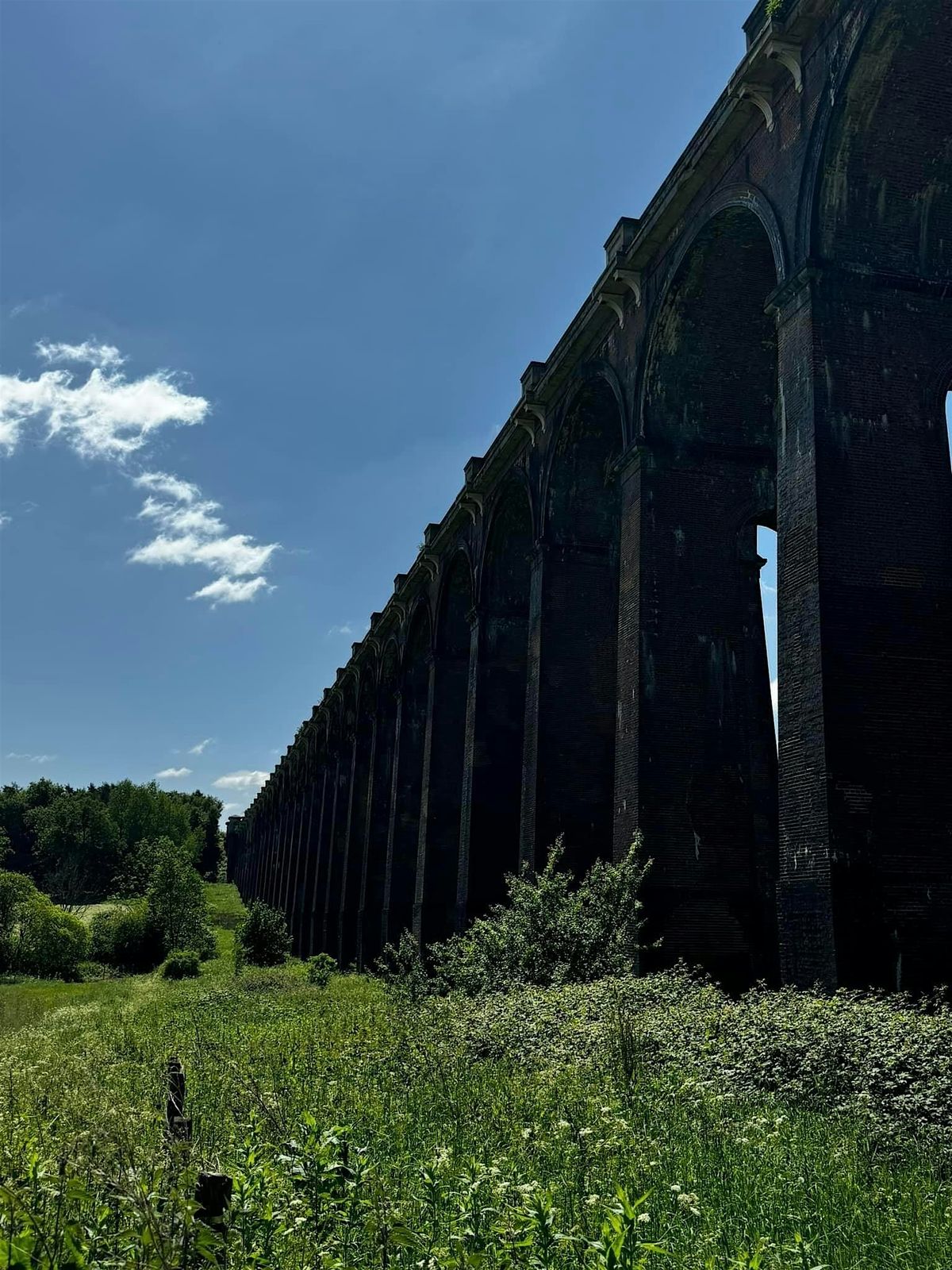 Scenic hike through Ardingly Reservoir, Balcombe Lake and Ouse Valley Viaduct