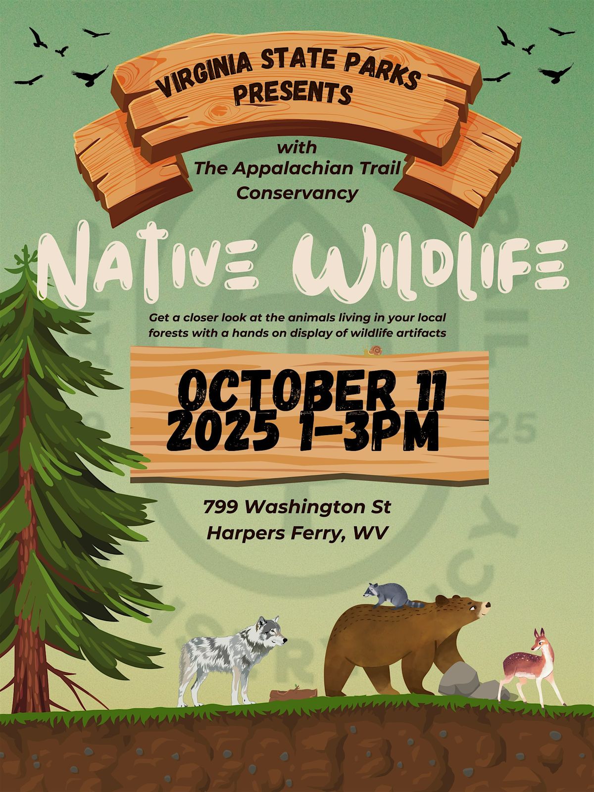 Native Wildlife