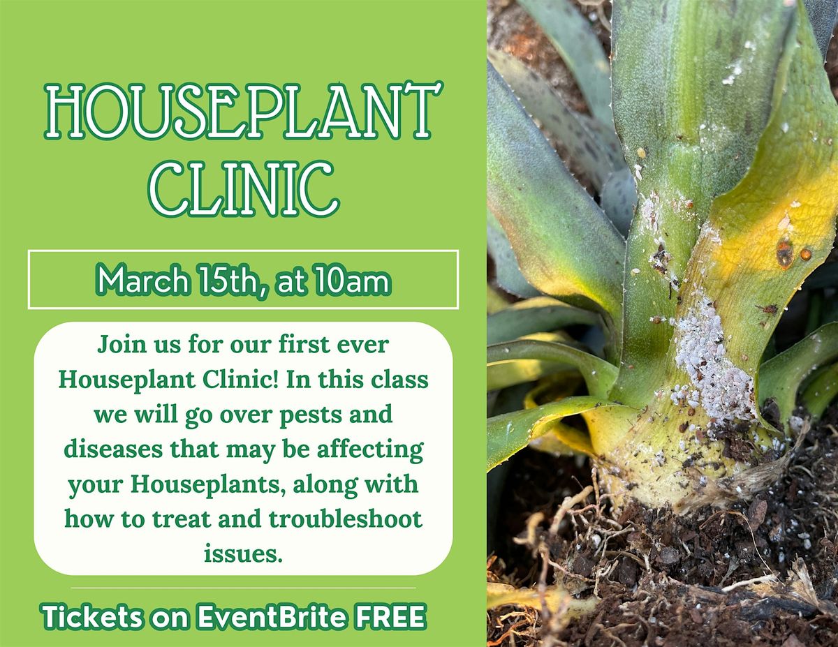 Houseplant Clinic