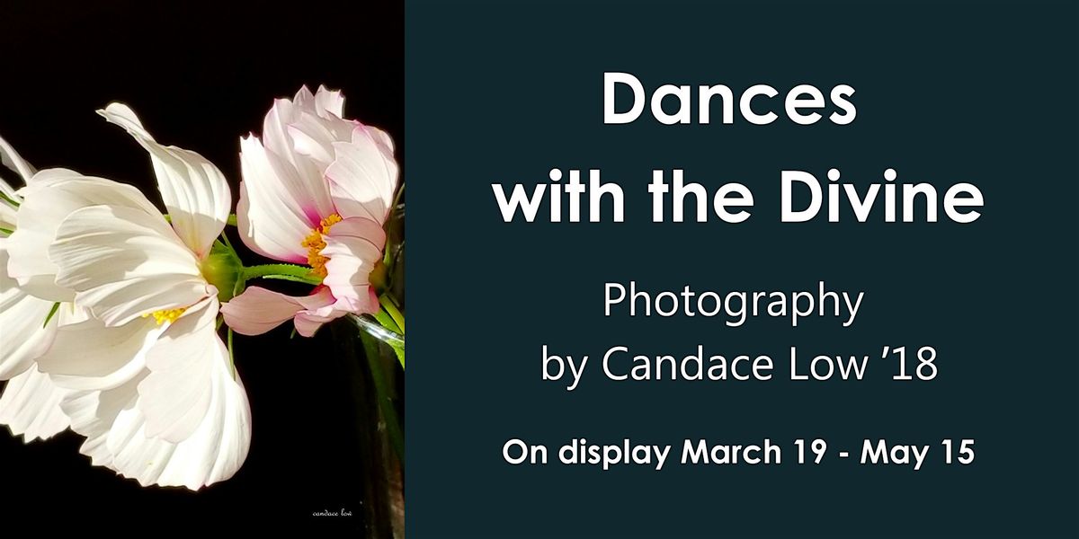 Gallery Opening for Dances with the Divine