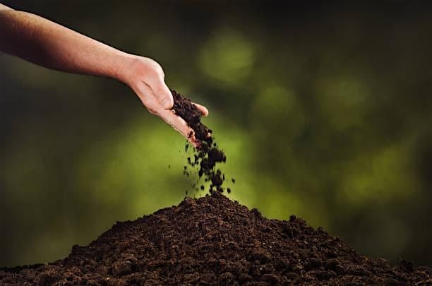 A Greener Goodbye: Exploring Eco-Friendly Burial Options