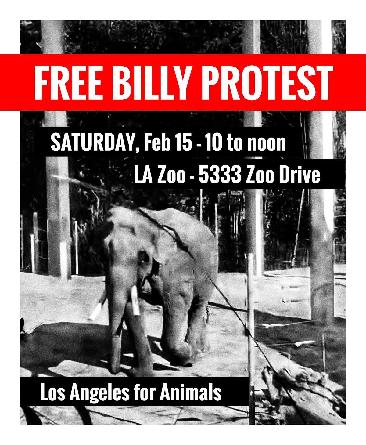 Free Billy Protest