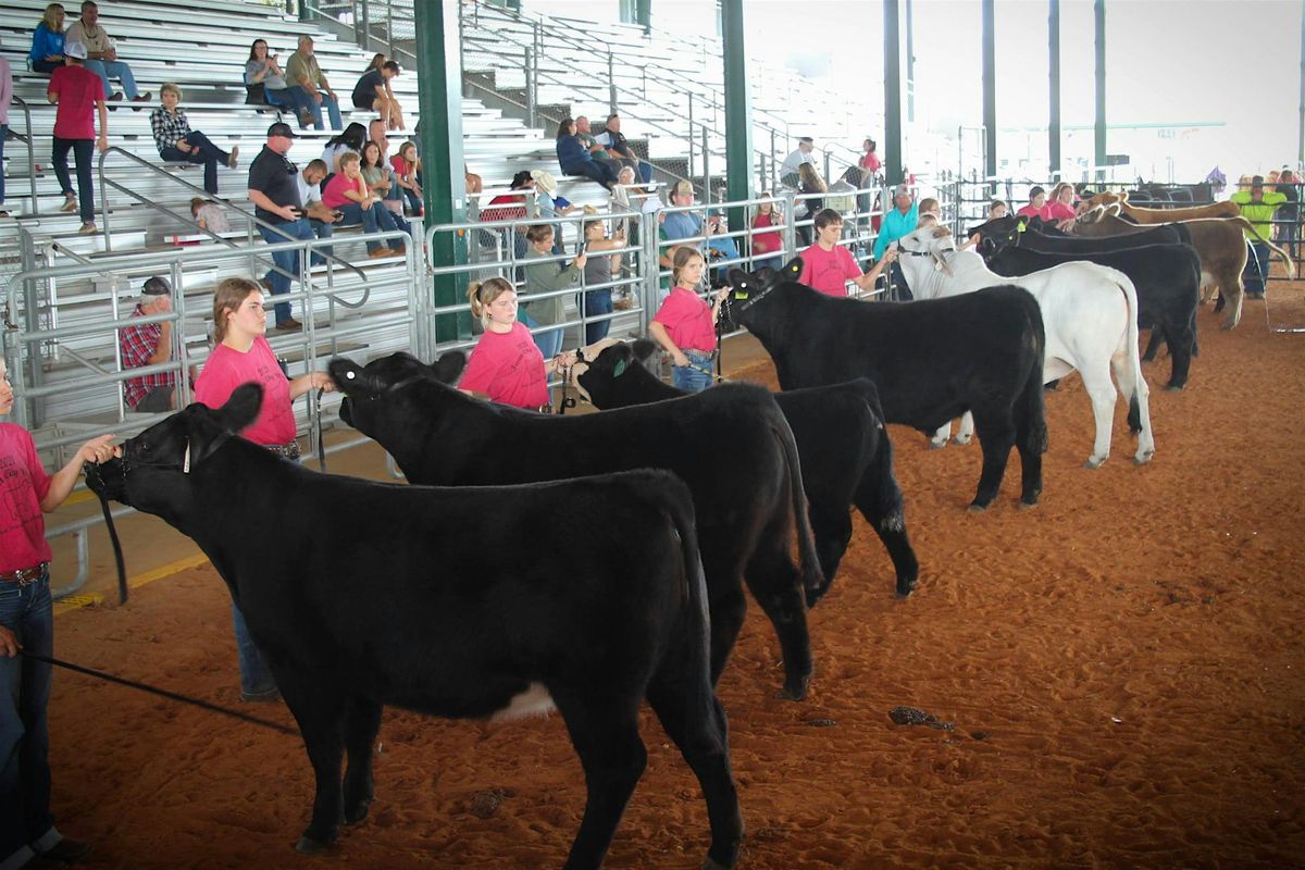 Manatee Farm City Week Beef Workshop and Prospect Show