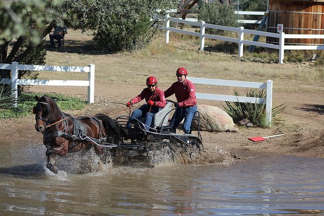 Black Canyon City ADTs # 6 & #7