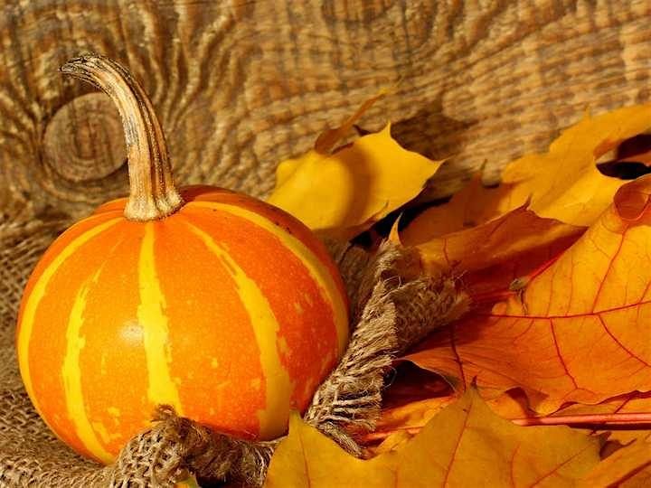 Harvest Your Business - Owners engaging with owners