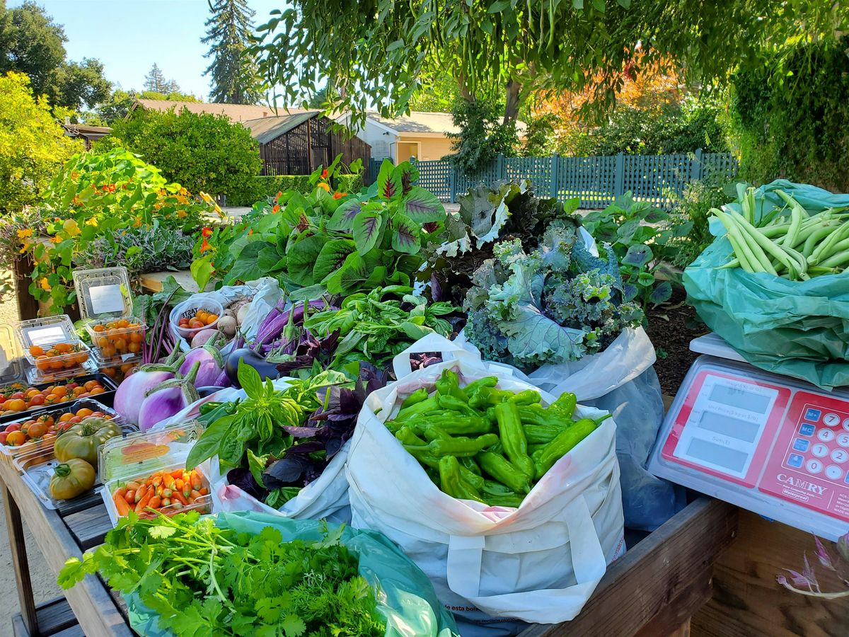 September Tour of Elizabeth Gamble Garden