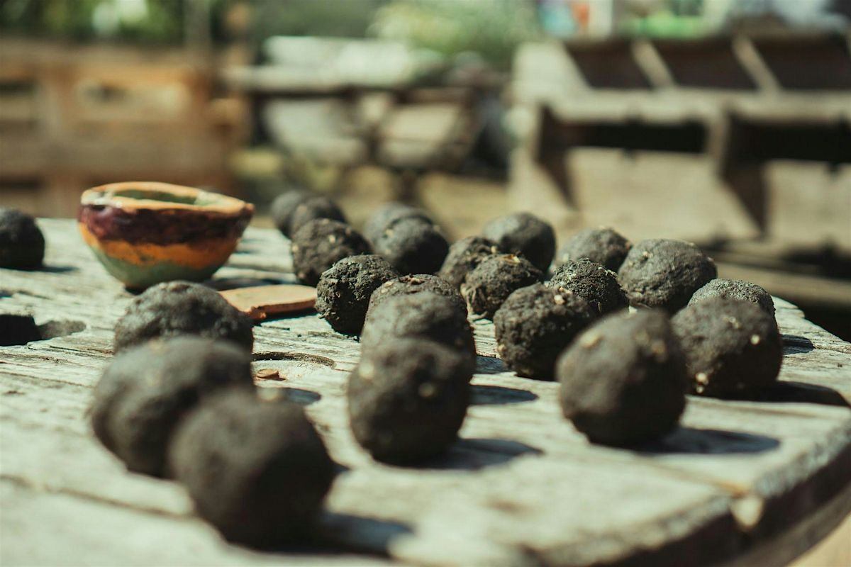 Kids' Crafts - Seed Ball Making