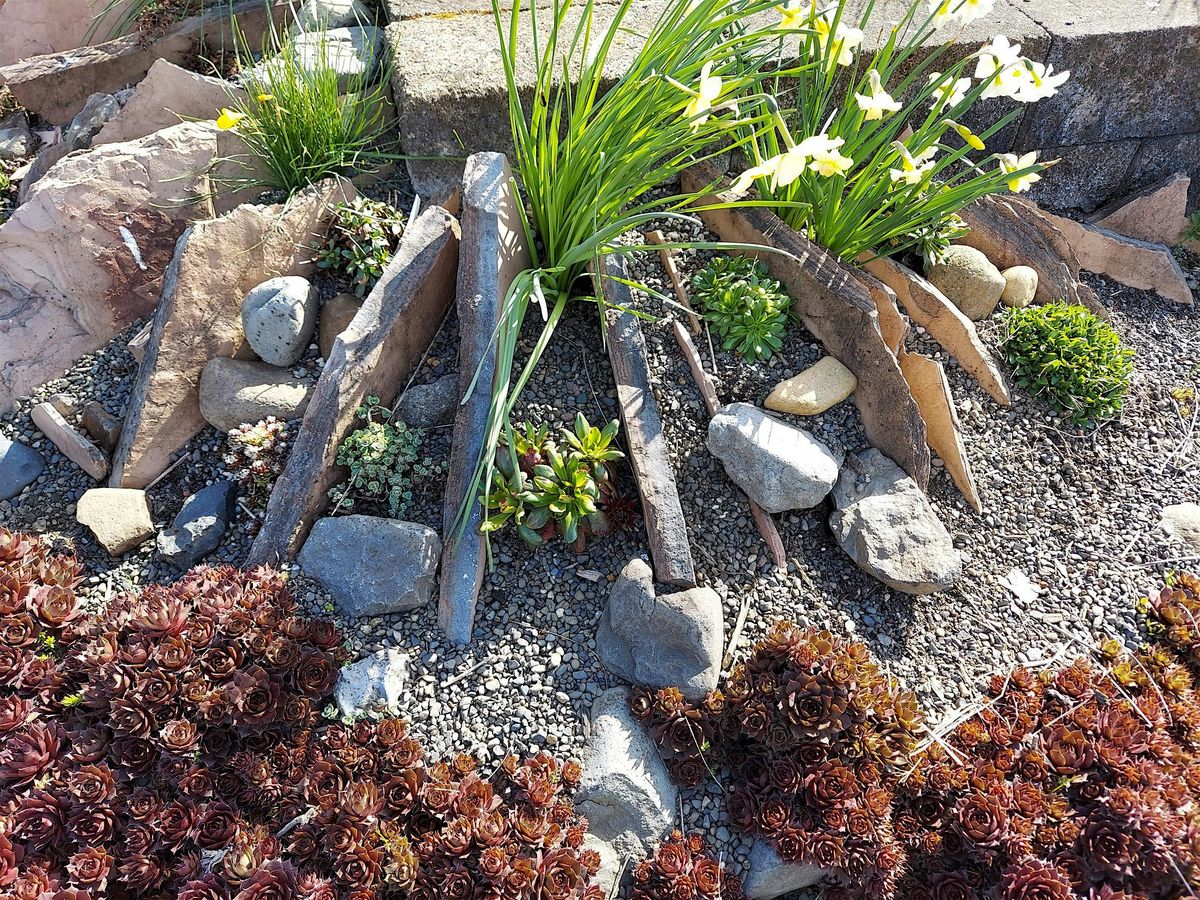 How to build a Crevice Garden Learn and Serve Workshop