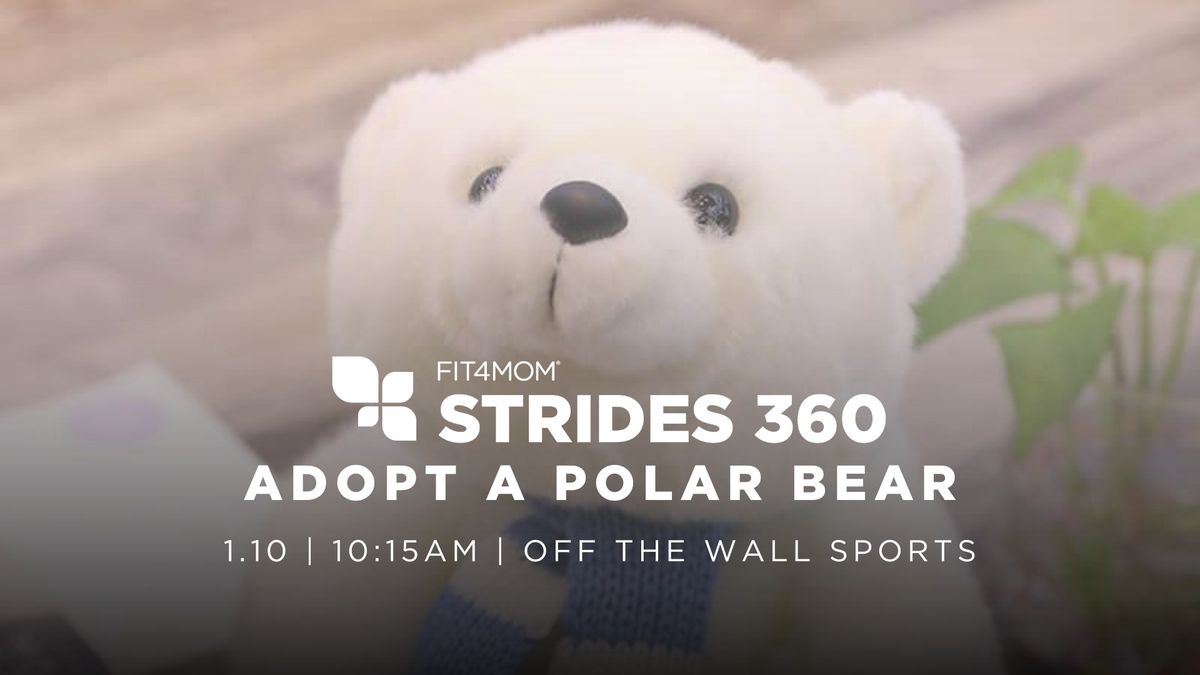 Adopt a Polar Bear Strides 360